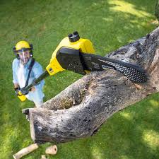 Best Commercial Tree Services  in Baudette, MN